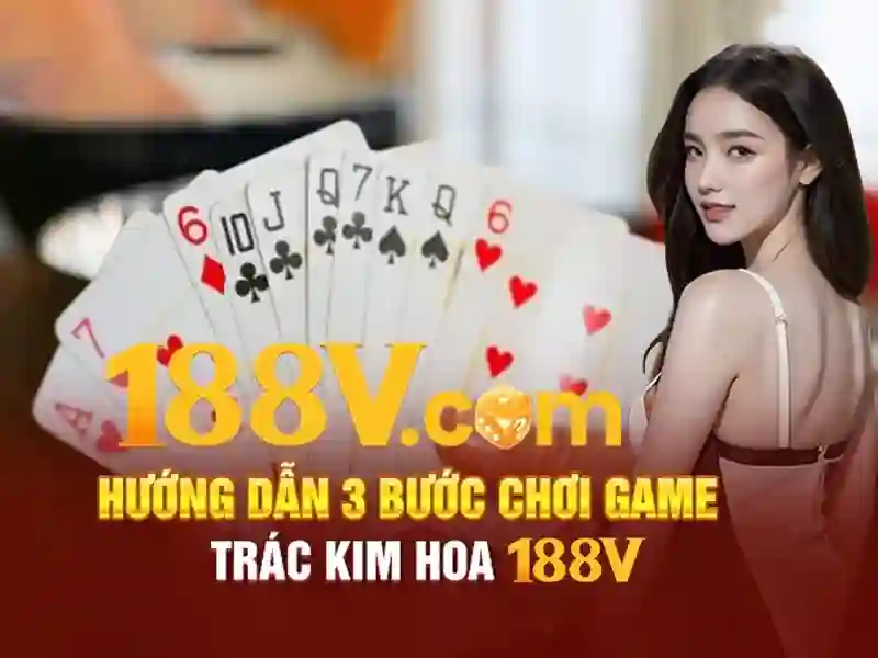 Trải nghiệm người dùng và phản hồi từ cộng đồng