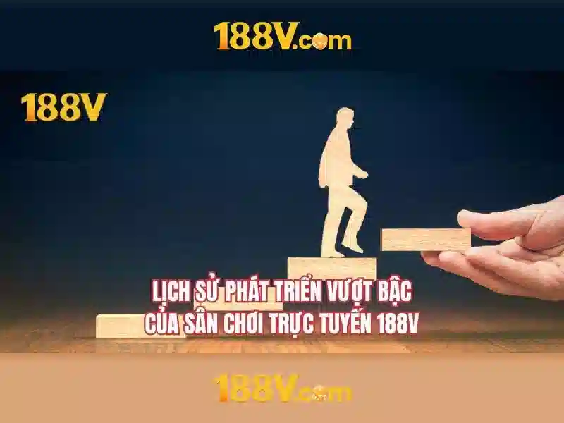 Trải nghiệm người dùng và phản hồi cộng đồng