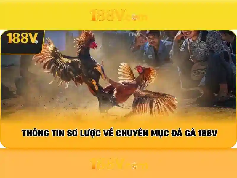 188v nha cai – Tong quan chu de va gia tri cot loi