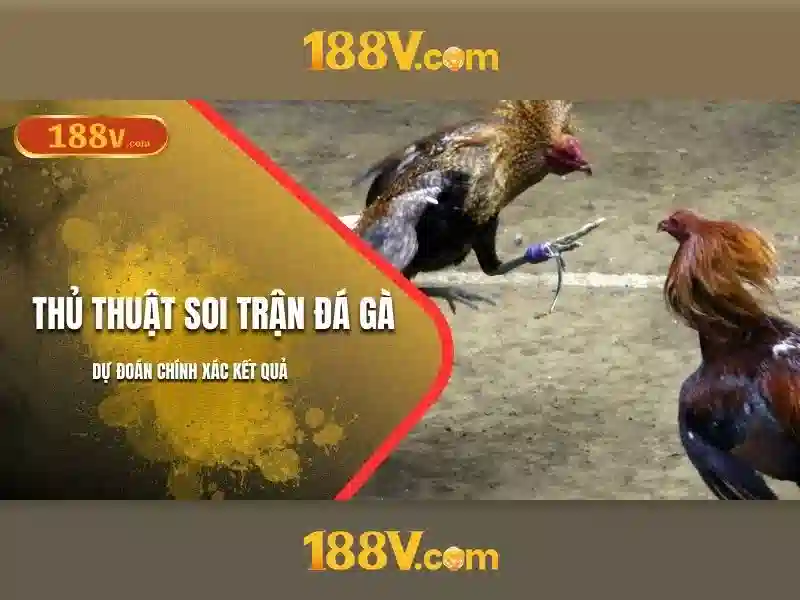Ảnh hưởng của 188v đối với xã hội
