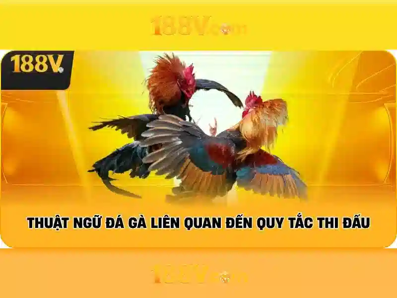 Nguồn gốc và sứ mệnh của 188v apk