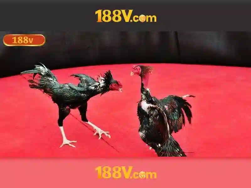 link dự phòng 188v – Tổng quan chủ đề và giá trị cốt lõi