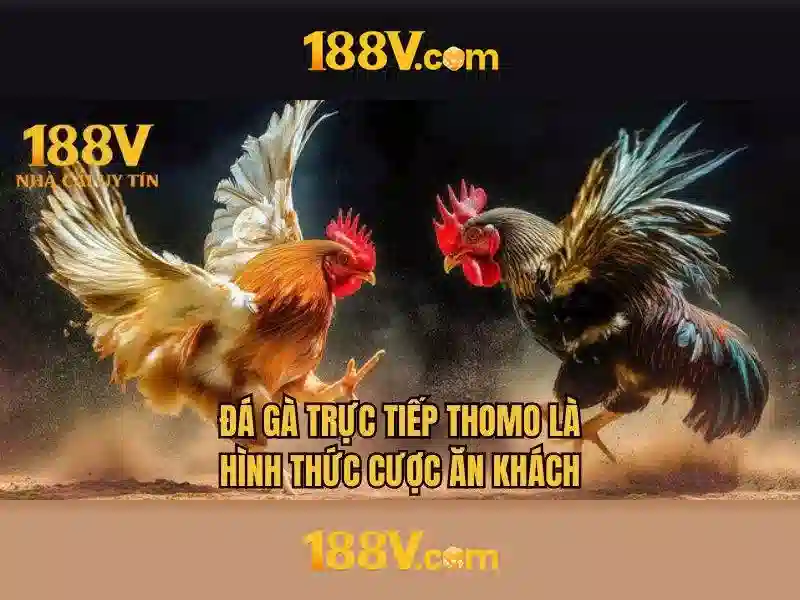 188v như một gấp khúc của thời gian