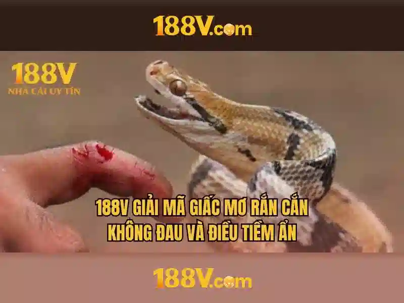 Khung cảnh và nền tẳng của thành phố 188v
