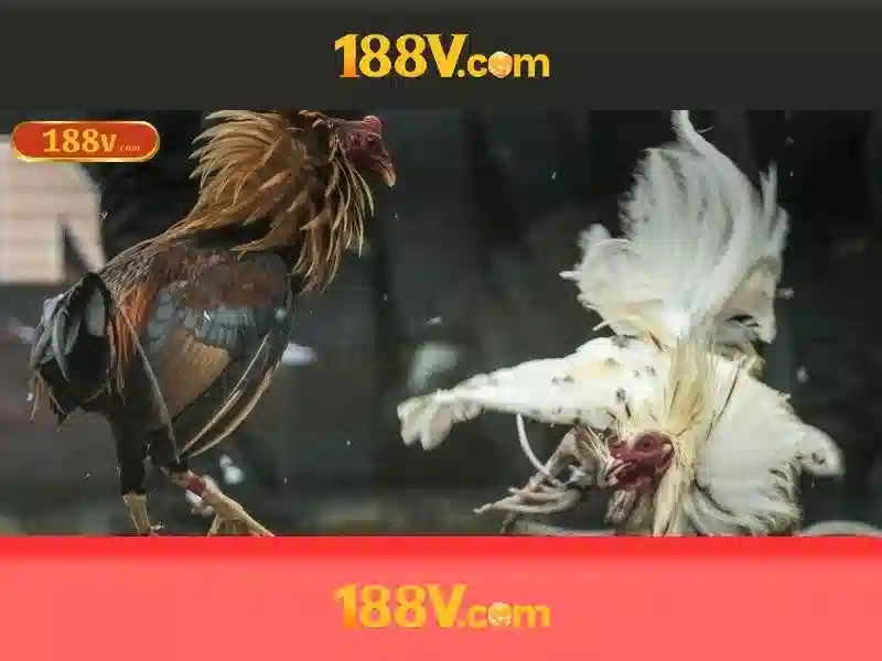 Ý nghĩa của 188v trong toán học và đời sống<h>Cách nhận diện và áp dụng 188v vào sáng tạo</h>\n<p><span style=