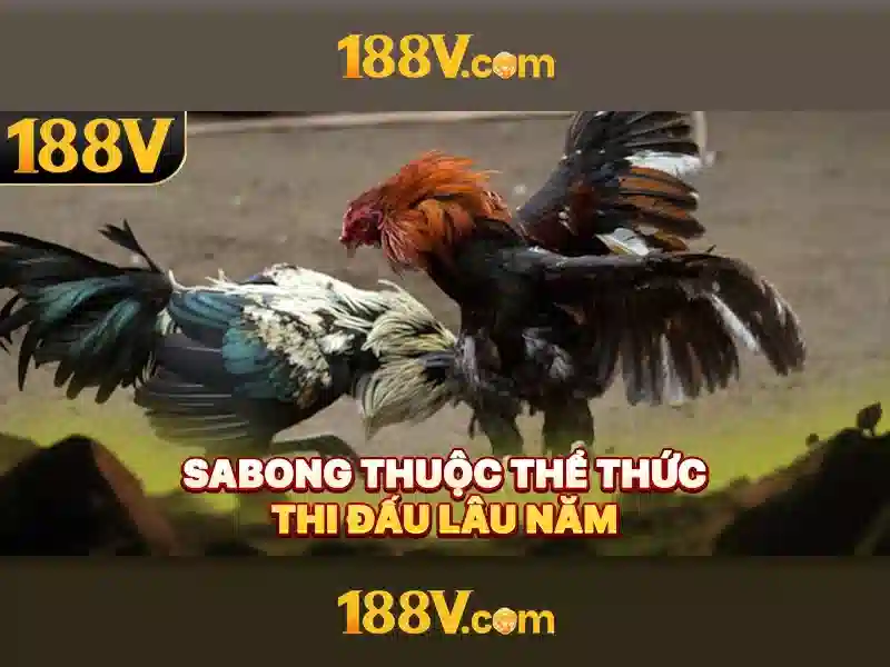 Tương lai của 188v
