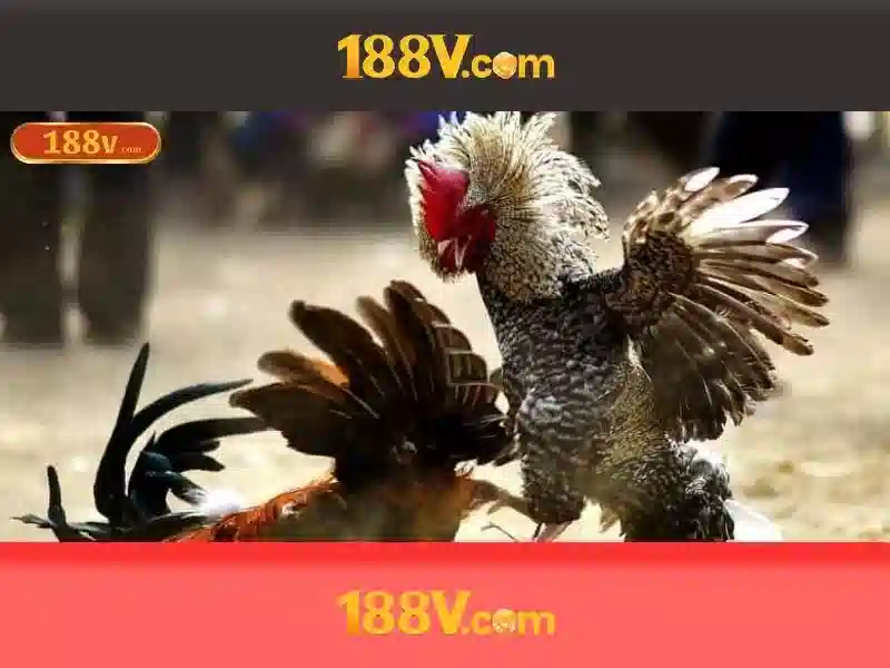 Nguồn gốc và ý nghĩa