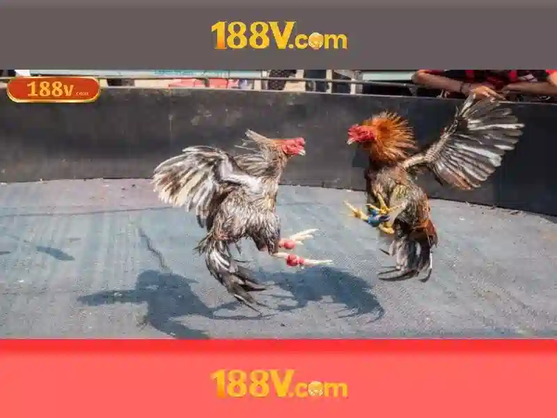 Cách bảo vệ và an toàn người dùng với 188V