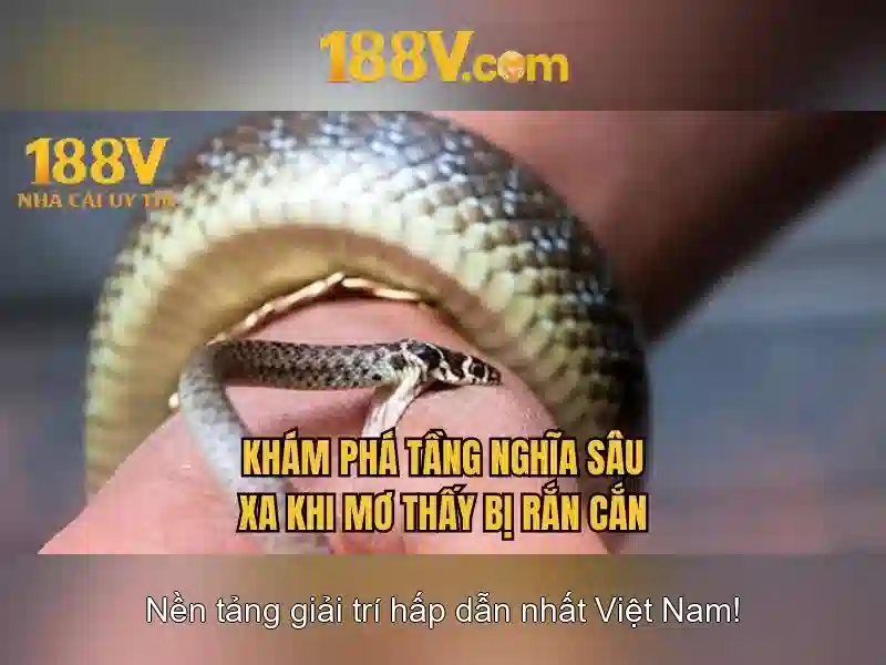 Giới thiệu về điện áp 188V