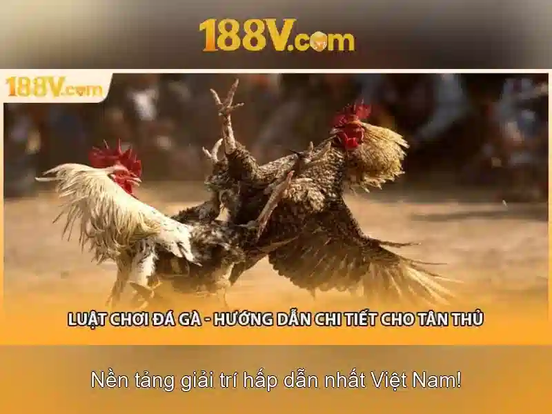 Mẹo chơi bắn cá 3 cây dễ ăn tiền nhà cái