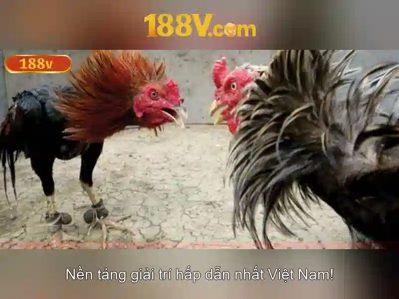Mẹo chơi bắn cá 3 cây dễ ăn tiền nhà cái