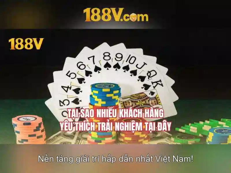 Trải nghiệm người dùng và phản hồi cộng đồng