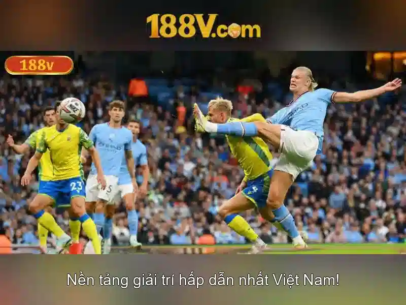 Khả năng và cơ chế hoạt động