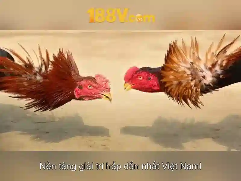 Khởi động và nguyên tắc hoạt động\n<h>Ứng dụng tiềm năng</h>\n<p><span style=