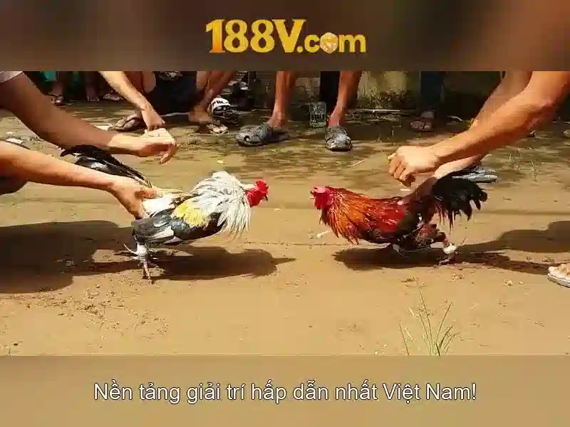 Mẹo chơi bắn cá 3 cây dễ ăn tiền nhà cái