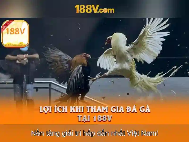 Định nghĩa và đặc trưng