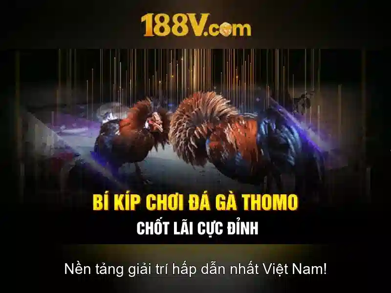 Ứng dụng của 188v