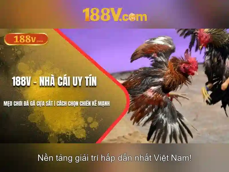 Nguồn gốc và ứng dụng