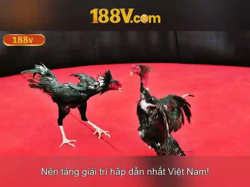 Mẹo chơi bắn cá 3 cây dễ ăn tiền nhà cái