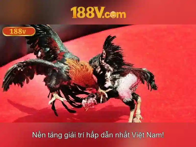 Mẹo chơi bắn cá 3 cây dễ ăn tiền nhà cái