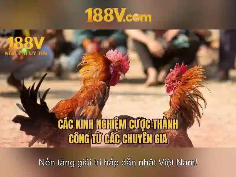 Mẹo chơi bắn cá 3 cây dễ ăn tiền nhà cái