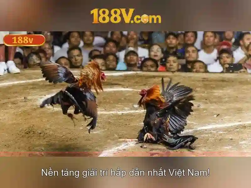 Mẹo chơi bắn cá 3 cây dễ ăn tiền nhà cái