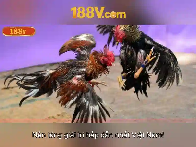 Không gian và thời gian của 188v