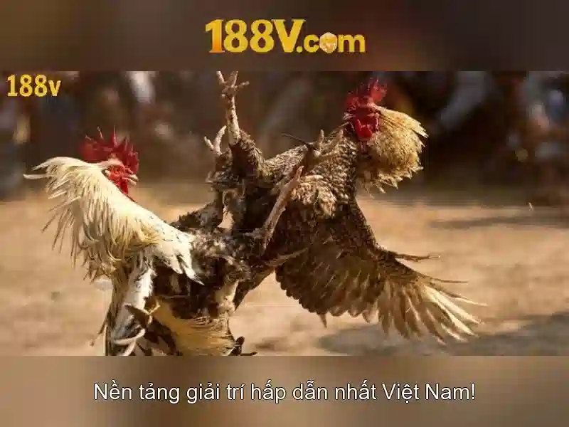 Ứng dụng và ảnh hưởng của 188v\n