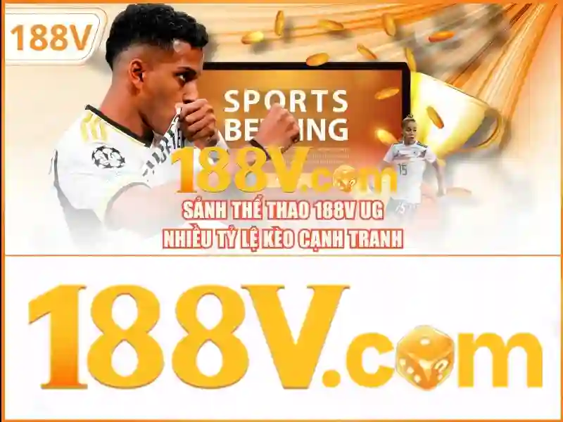 Các sản phẩm và dịch vụ chính