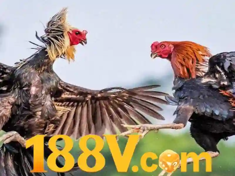 link 188v – Giới thiệu sáng tạo