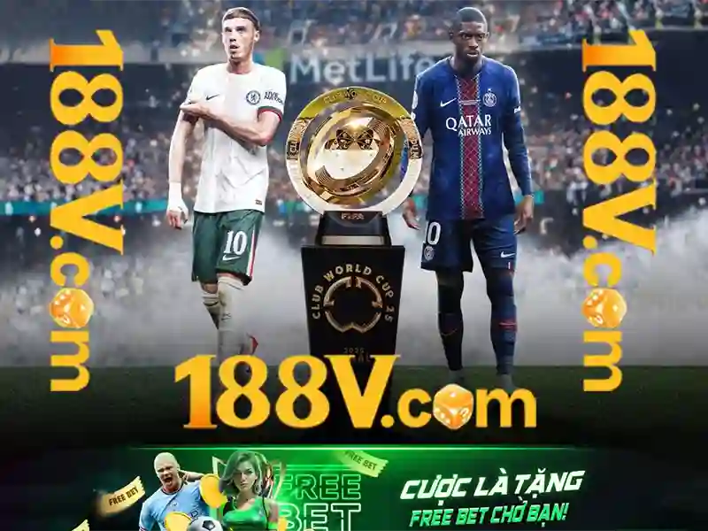 Trai nghiem nguoi dung va phan hoi