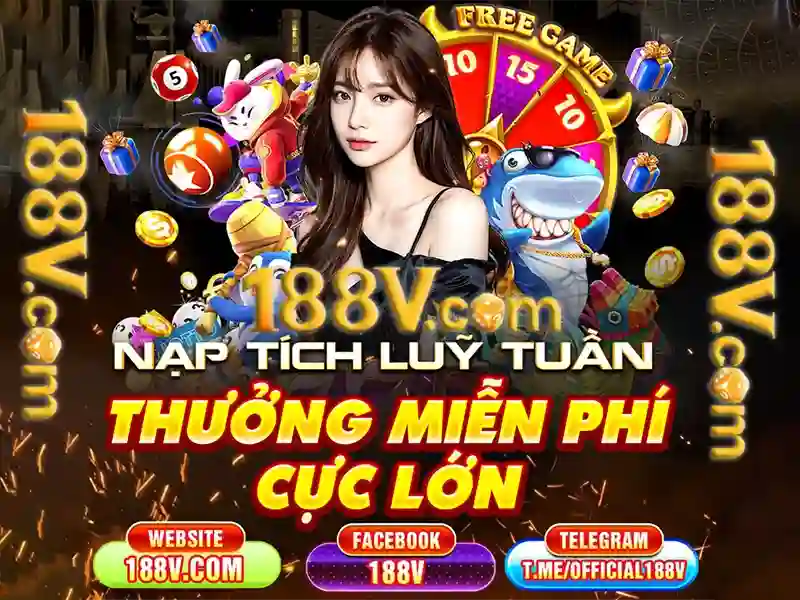 Trải nghiệm người dùng và phản hồi cộng đồng
